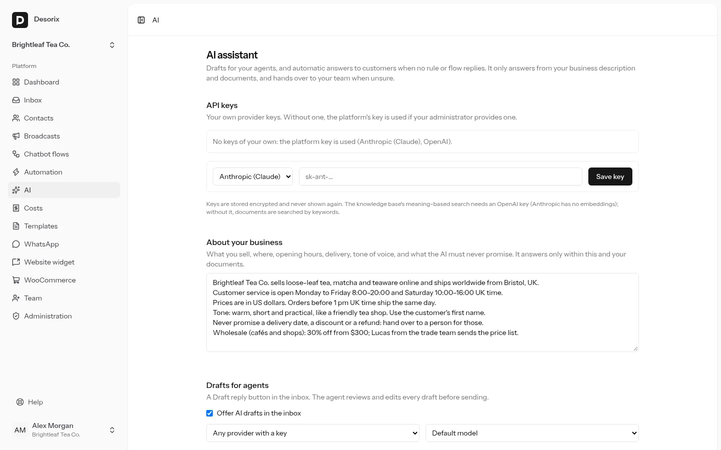 The AI page: keys, business description, drafts and auto-reply